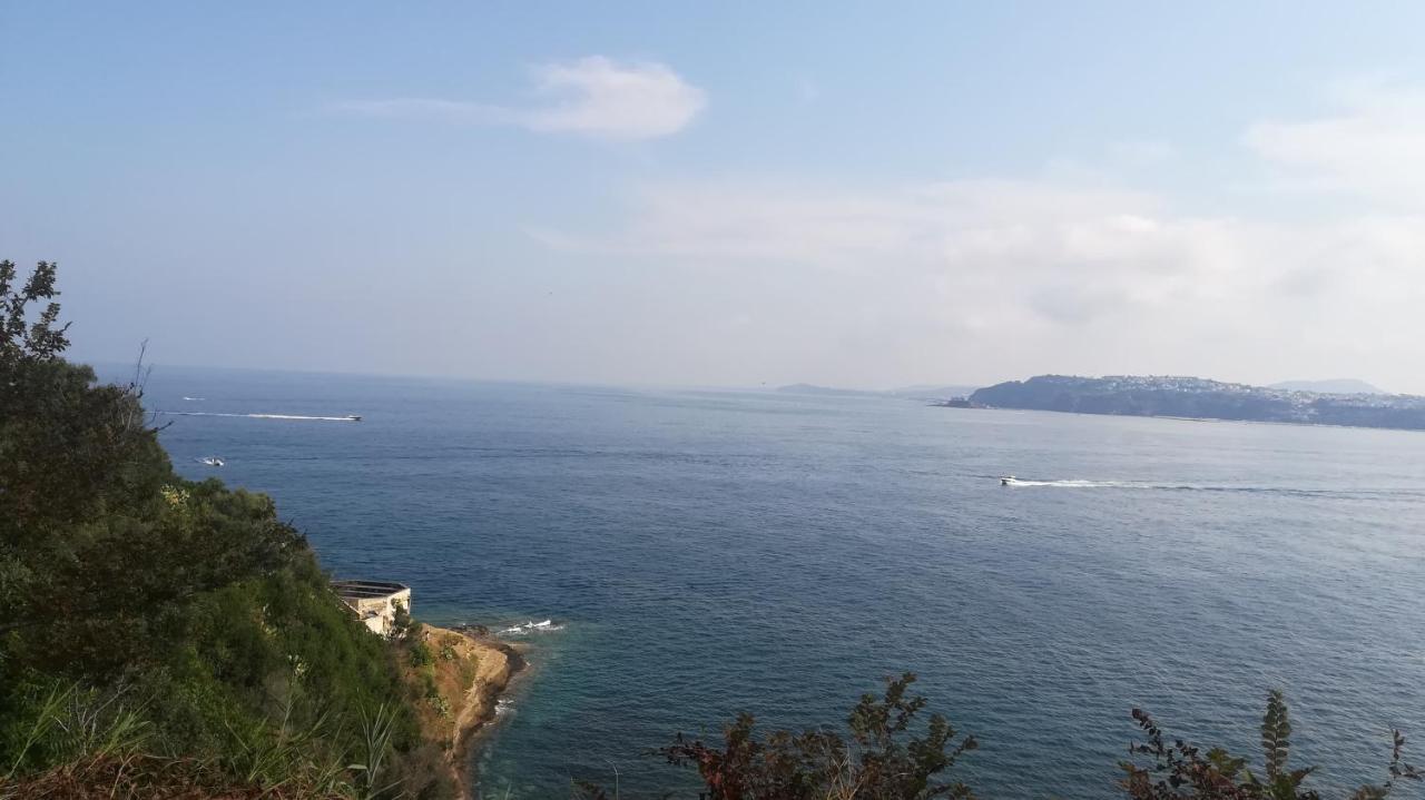 Le Querce Vila Procida Exterior foto